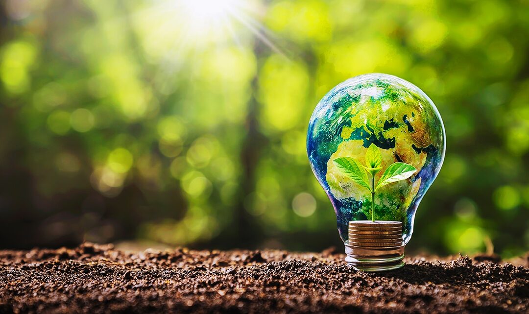 Why Embracing a Circular Economy is Crucial for a Sustainable Future