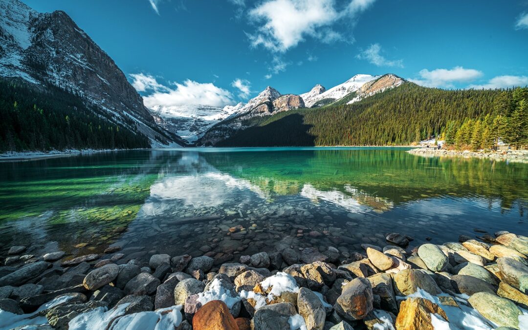 11 Reasons Why Natural Parks are Essential for Your Overall Health and Well-being