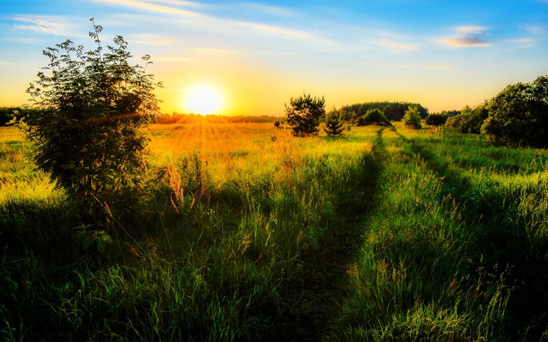 Why Choosing a Rural Home Will Improve Your Quality of Life: Discover the Benefits Today!
