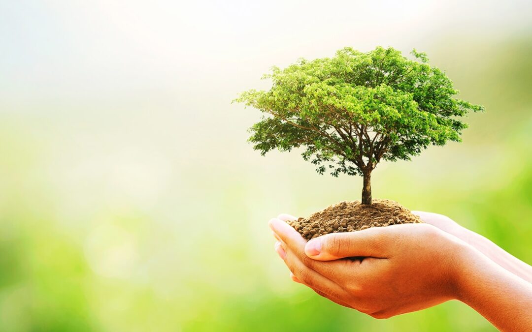 Protect Our Planet: Why Strong Environmental Policies Are Essential for Our Future