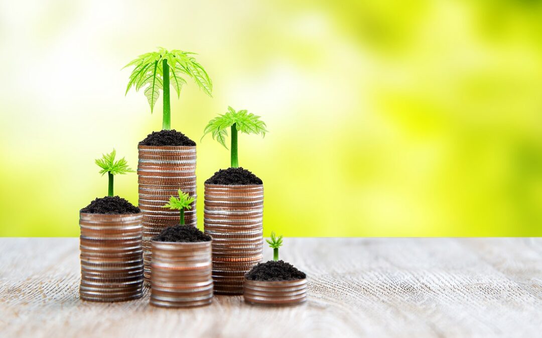 Secure your financial future with an effective exit strategy – Why it’s the ultimate key to success!