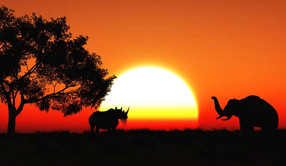 Protecting Our Planet: Why Investing in Protected Areas is the Key to Conservation and Sustainable Development