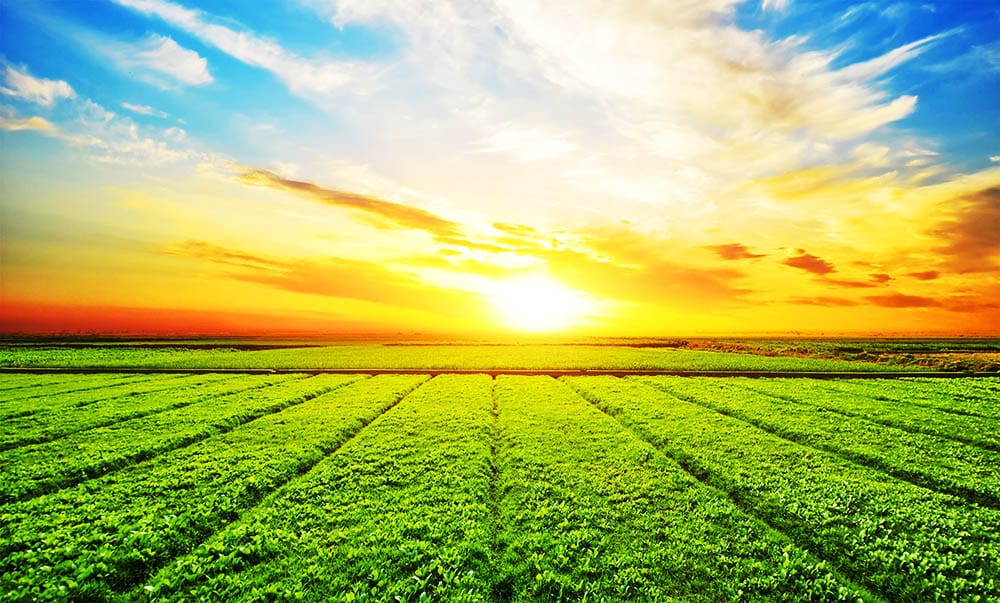 Why Choosing a Rural Home Will Improve Your Quality of Life: Discover the Benefits Today!