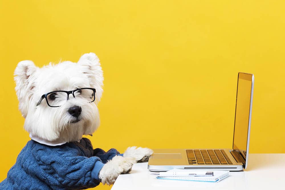 Why Robotic Pets are the Perfect Alternative to Real Animals: The Ultimate Solution for Animal Lovers!